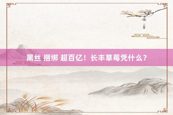 黑丝 捆绑 超百亿！长丰草莓凭什么？