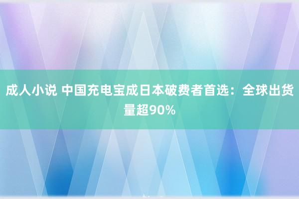 成人小说 中国充电宝成日本破费者首选：全球出货量超90%