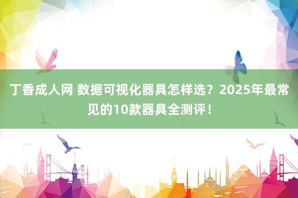 丁香成人网 数据可视化器具怎样选？2025年最常见的10款器具全测评！