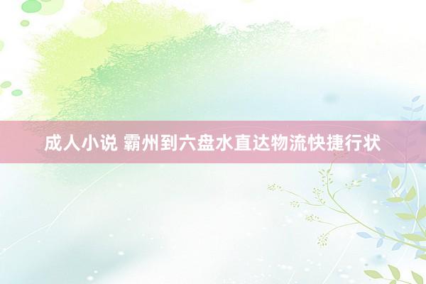 成人小说 霸州到六盘水直达物流快捷行状
