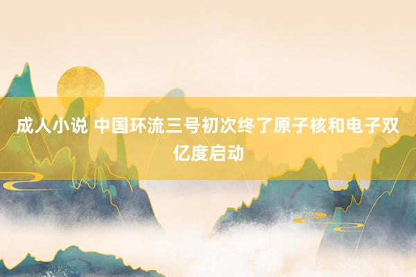 成人小说 中国环流三号初次终了原子核和电子双亿度启动