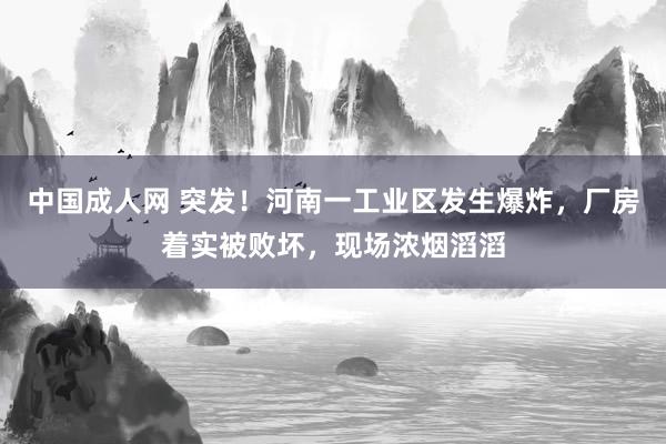 中国成人网 突发！河南一工业区发生爆炸，厂房着实被败坏，现场浓烟滔滔