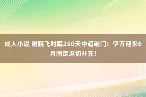 成人小说 谢鹏飞时隔250天中超破门：伊万迎来6月国足迫切补充！