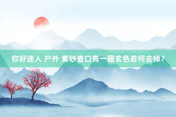 你好迷人 户外 紫砂壶口有一圈玄色若何去掉？