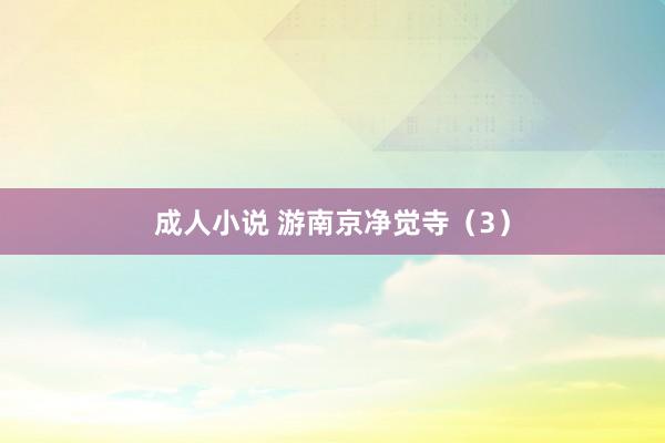 成人小说 游南京净觉寺（3）
